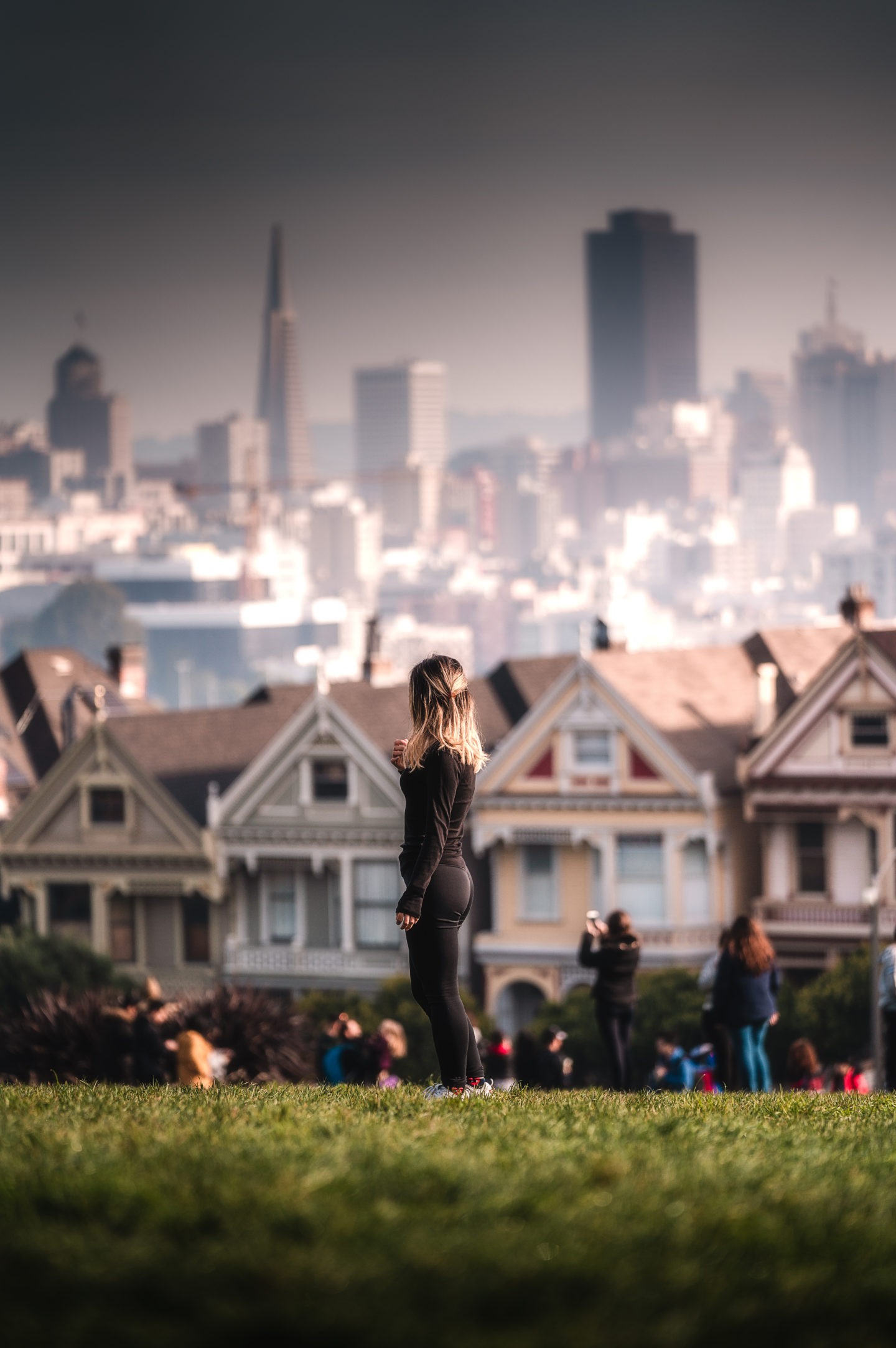 Zoomed in view of the Painted Ladies