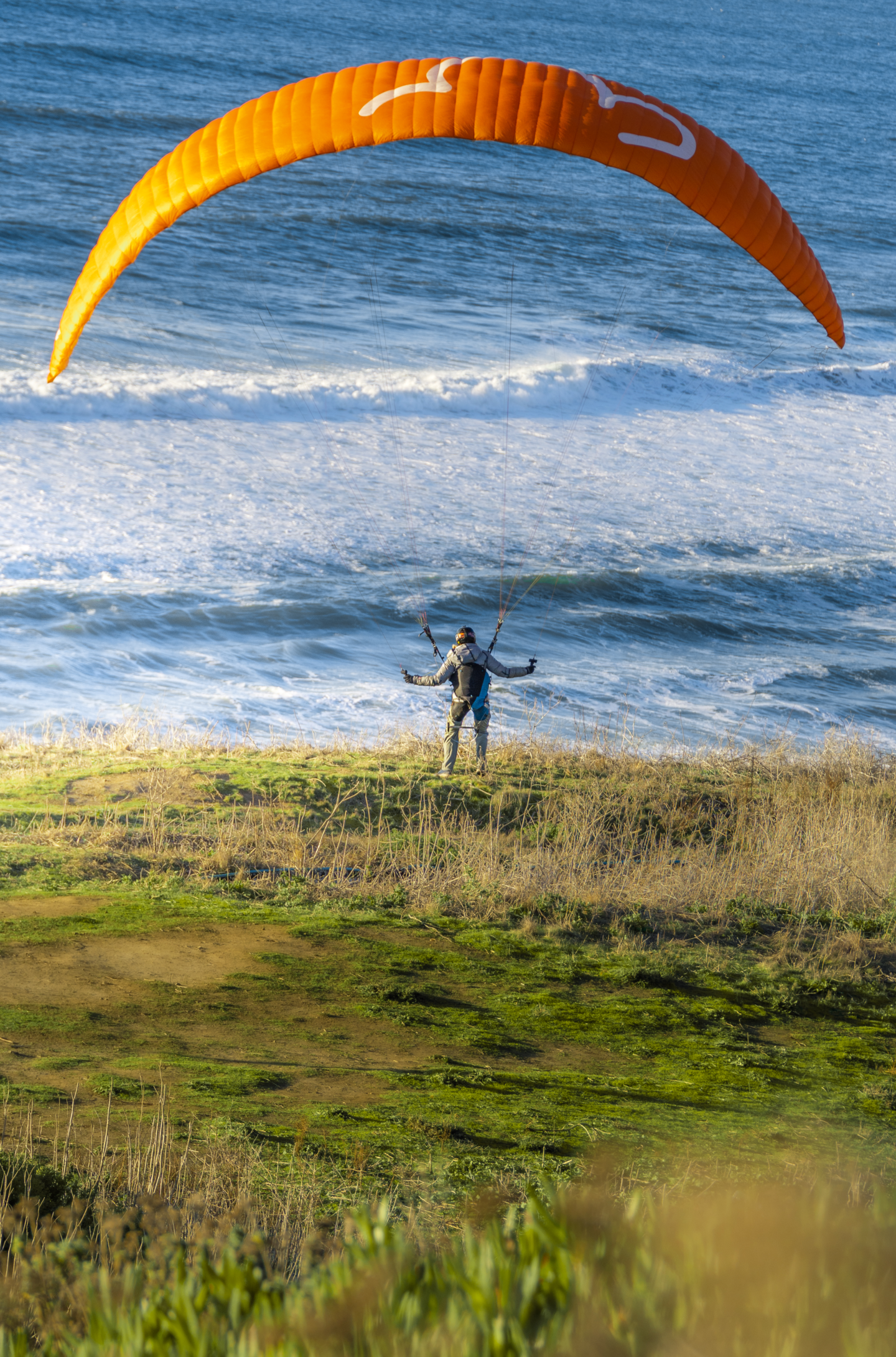 Catching hang gliders at Mussel Beach